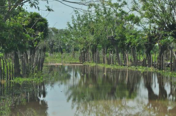 Essa é a estrada à nossa frente, no caminho à Mompós, na Colômbia